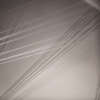 Foto:Alexander Hörner