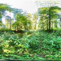 Arme Arten / Poor Species