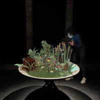 Insects & Us von Kris Hofmann