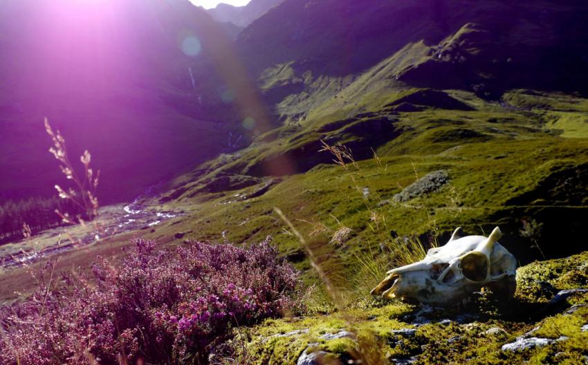 99 Ways to die in Scotland