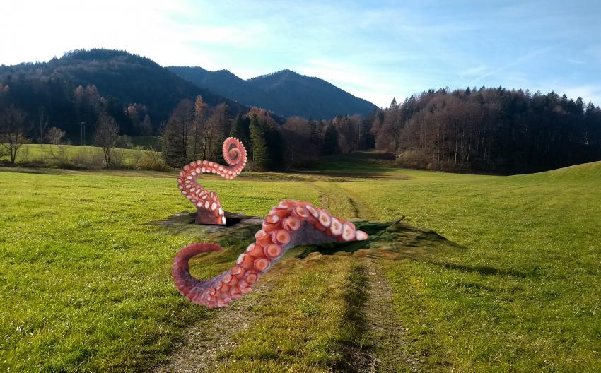 Take care when you take a walk!