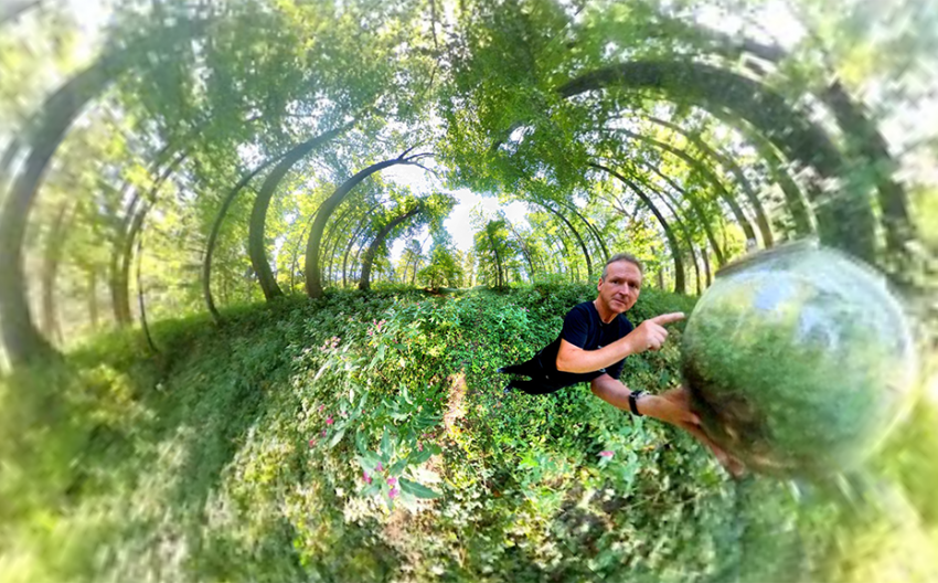 Arme Arten / Poor Species 2