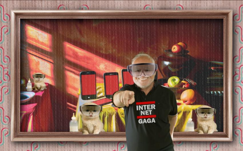 Bidner Reinhold - Internet Gaga