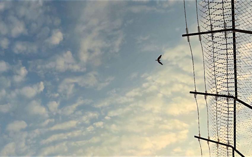 "Frontiers" (Machinima, 138 seconds, 2012)