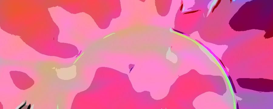 Black Day Copyright gold extra