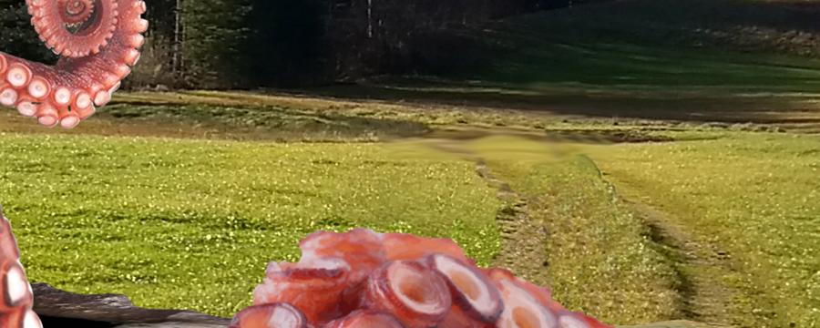 Take care when you take a walk!