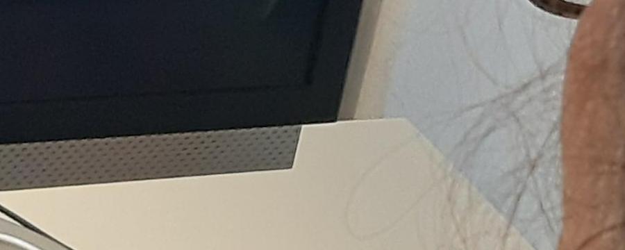 playing Fantastic Fetus