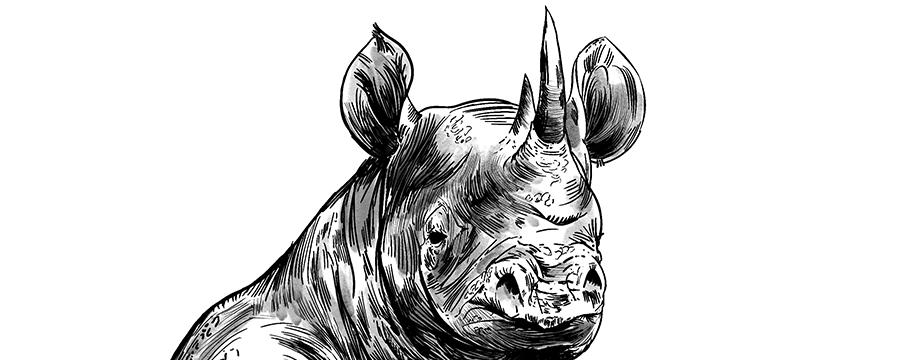 Briefs 2022 - The Absurd