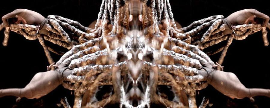 Addicted Bidner Img1